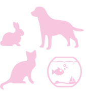 ペット